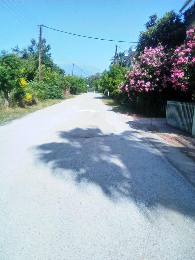 Little Beauty - Happyhostgr - In Platamonas Leilighet Eksteriør bilde